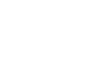 Evolution games at Wildsino Casino