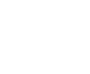 NetEnt games at Wildsino Casino
